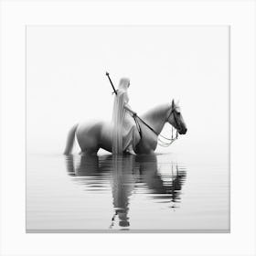 White Horse In The Water Canvas Print