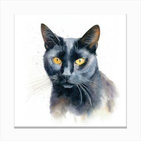 California Spangled Black Cat Portrait 1 Canvas Print