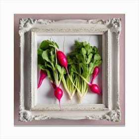 Radishes In A Frame 2 Canvas Print