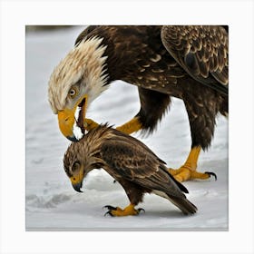 Bald Eagle And Chick Canvas Print