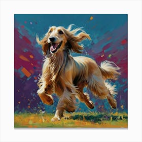 Afghan Hound Running Canvas Print