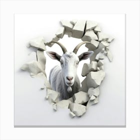 Goat Through A Wall 1 Canvas Print