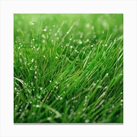 Green Grass 30 Canvas Print