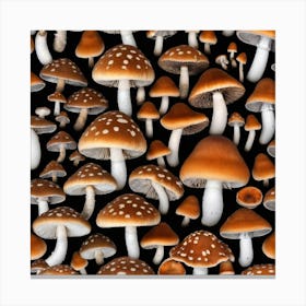 Many Mushrooms On A Black Background 4 Canvas Print