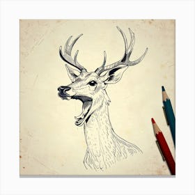 Deer Head 21 Canvas Print