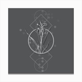 Vintage Sword Lily Botanical with Line Motif and Dot Pattern in Ghost Gray n.0025 Canvas Print