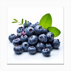 Blueberries Isolated On White Background Canvas Print