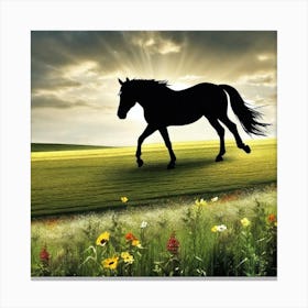 Horse In The Field 3 Canvas Print