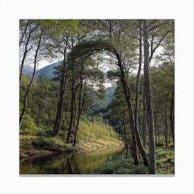 River In The Forest Canvas Print