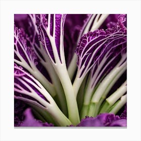 Purple Cabbage 4 Canvas Print