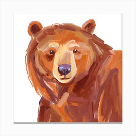 Brown Bear 03 Canvas Print