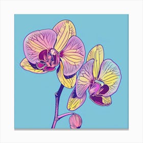 Orchids 20 Canvas Print