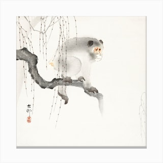 Monkey On A Tree Branch, Ohara Koson Vintage Japanese Canvas Print