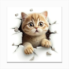 Cat Peeking Out Of A Hole 5 Canvas Print