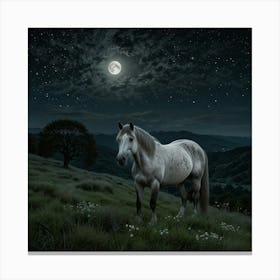 Horse In The Night 1 Canvas Print