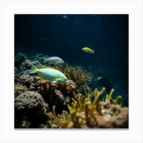 Coral Reef3 Canvas Print