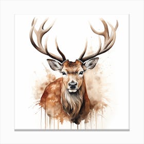 Deer Head Watercolor Painting 2 Canvas Print