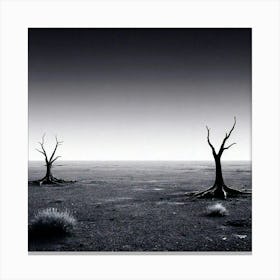 Dead Trees Canvas Print