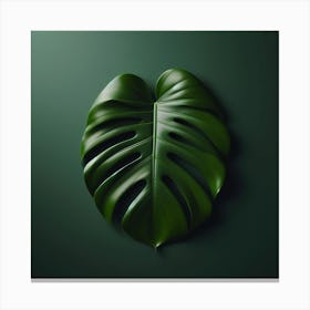 Monstera Leaf On Green Background Canvas Print