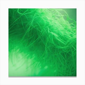 Close Up Of Green Grass Canvas Print