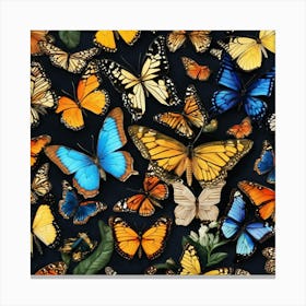 Butterflies On Black Background Canvas Print