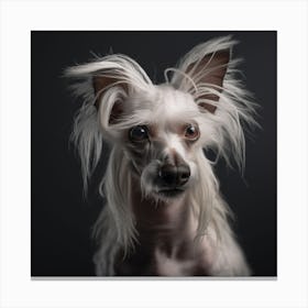 Good boy Canvas Print