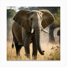 Large Elephant In The Savannah Canvas Print