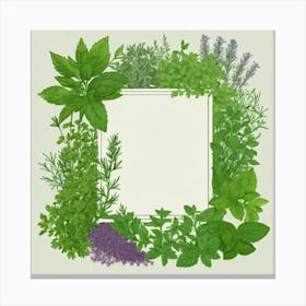 Herbs As A Frame (61) Canvas Print