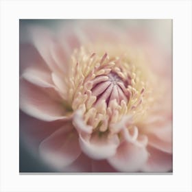 A Close Up Of A Delicate Woman Bud Just Beginning To Bloom, With Soft Petals And Hints Of Vibrant Co (2) Canvas Print