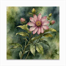 Watercolor Of A Pink Flower Canvas Print