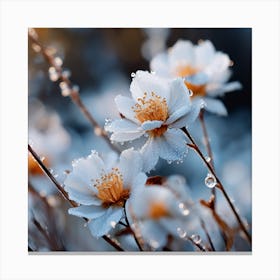 White Flowers With Dew Drops Canvas Print