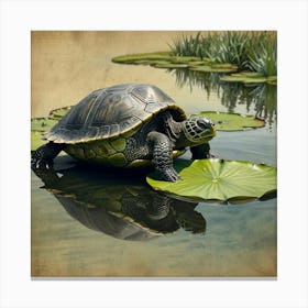 Turtle On Water Lily Canvas Print