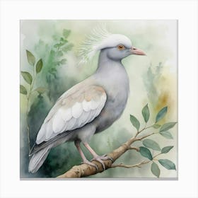 Kagu bird Canvas Print