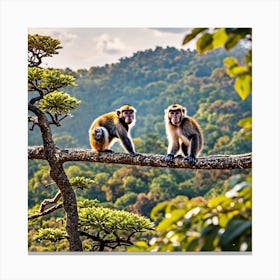 Monkeys On A Tree Branch Canvas Print