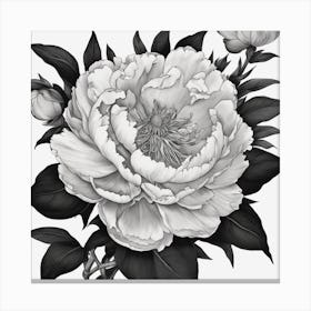 Colouring Book In Black And White Of Peony Flower Drawn In Disney Style Black And White Colours No 528859390 Canvas Print