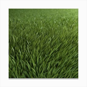 Green Grass 43 Canvas Print