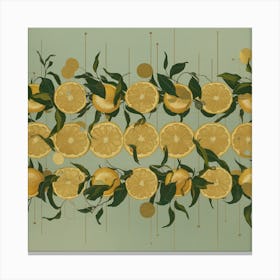 Apricots Canvas Print