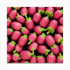 Radishes 71 Canvas Print