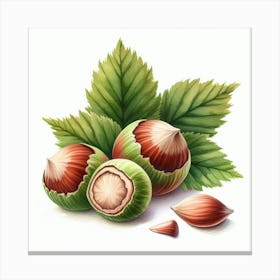 Hazelnut 1 Canvas Print