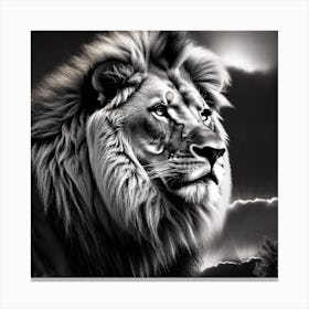 Lionn Canvas Print