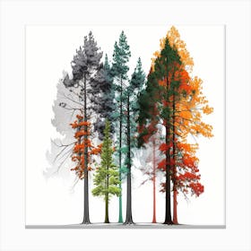 Fall Trees Canvas Print