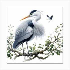 Heron 2 Canvas Print