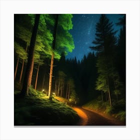 Dark Forest At Night Canvas Print
