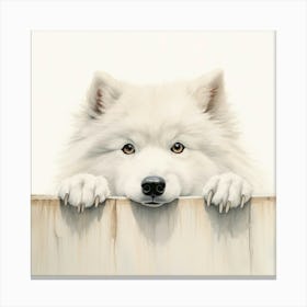 Samoyed 7 Canvas Print