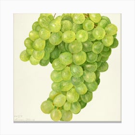 Bunch Of Grapes Canvas Print