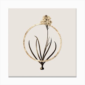 Gold Ring Arabian Starflower Glitter Botanical Illustration n.0294 Canvas Print