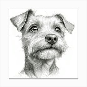 Lakeland Terrier Canvas Print