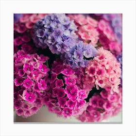 Hydrangeas Canvas Print