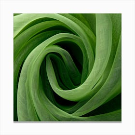 Green Tulip Canvas Print