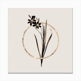 Gold Ring Ixia Tricolor Glitter Botanical Illustration n.0262 Canvas Print